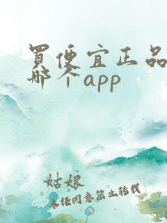 买便宜正品鞋子哪个app