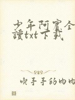少年阿宾全文阅读txt下载