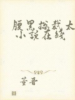 腹黑总裁太霸道 小说在线