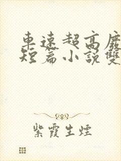 车速超高废文的短篇小说双男