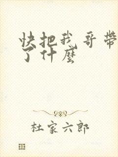快把我哥带走讲了什么