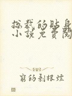 总裁的贴身保镖小说免费阅读全文