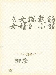 《女总裁的上门女婿》小说