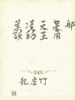 叶凌天是哪部小说的主角