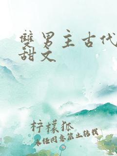 双男主古代生子甜文