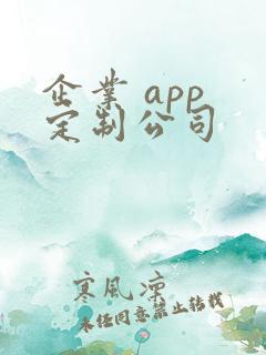 企业 app 定制公司