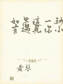 如果这一秒我没有遇见你小说