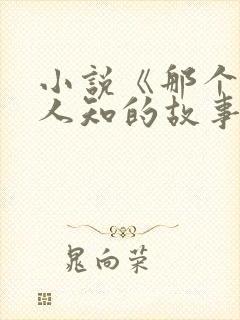 小说《那个不为人知的故事》