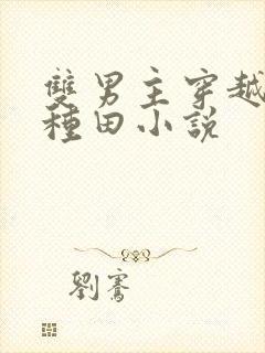 双男主穿越古代种田小说