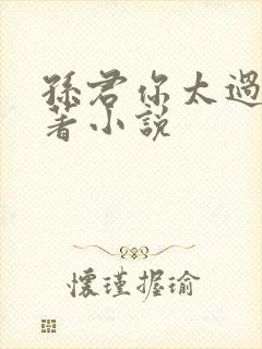 孙君你太过分原著小说