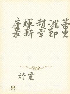 唐辉赵湘蕾小说最新章节更新免费阅读