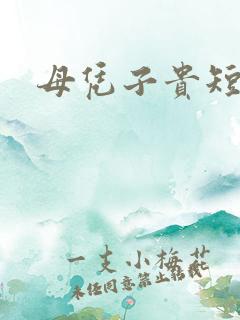 母凭子贵短剧