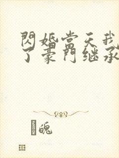 闪婚当天我怀上了豪门继承人完整版