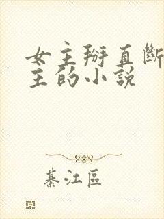 女主掰直断袖男主的小说