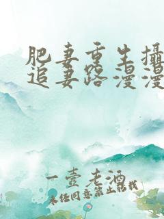 肥妻重生摄政王追妻路漫漫