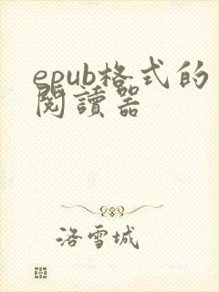 epub格式的阅读器