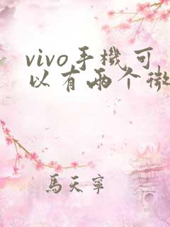 vivo手机可以有两个微信吗