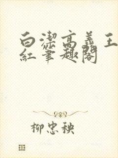 白洁高义王申美红笔趣阁