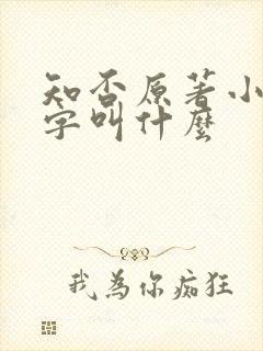 知否原著小说名字叫什么