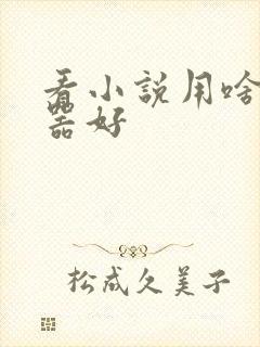 看小说用啥阅读器好