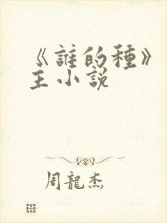 《谁的种》双男主小说