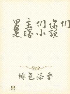 男主们你们是不是瞎小说