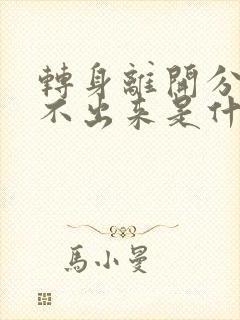 转身离开分手说不出来是什么歌