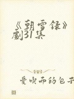 《朝雪录》电视剧31集