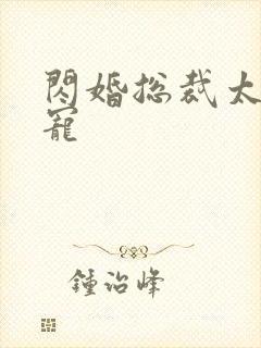 闪婚总裁太霸道宠