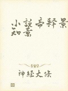 小说帝释景,南知意