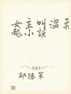 女主叫温柔的穿越小说