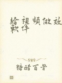 给视频做效果的软件