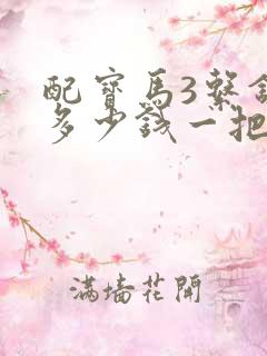 配宝马3系钥匙多少钱一把