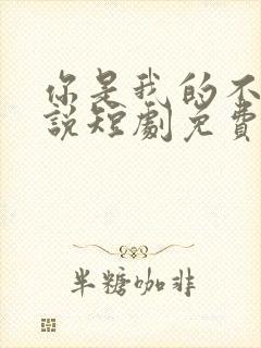 你是我的不可言说短剧免费观看全集高清