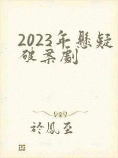 2023年悬疑破案剧