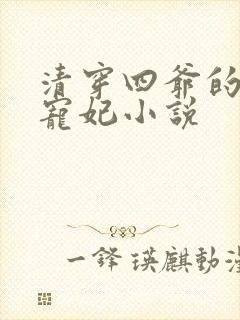 清穿四爷的心尖宠妃小说