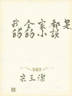 我全家都是穿来的的小说