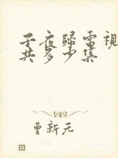 子夜归电视剧总共多少集