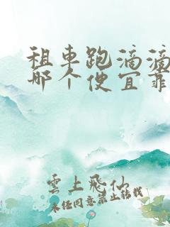 租车跑滴滴平台哪个便宜靠谱