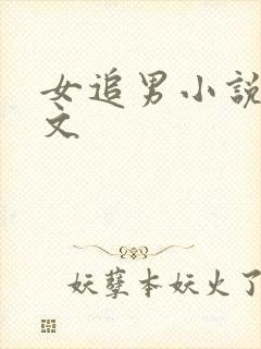 女追男小说甜宠文