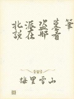 北派盗墓笔记小说在哪看