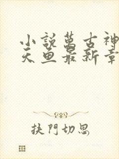 小说万古神帝飞天鱼最新章节阅读