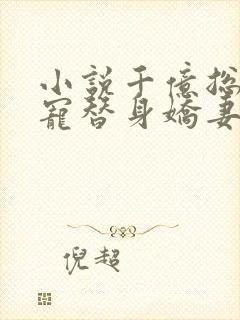 小说千亿总裁独宠替身娇妻完整版未删减小说