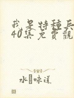 我是特种兵1—40集免费观看