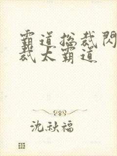 霸道总裁闪婚总裁太霸道