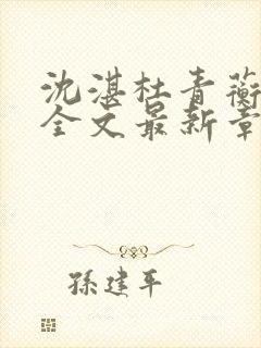 沈湛杜青蘅小说全文最新章节更新