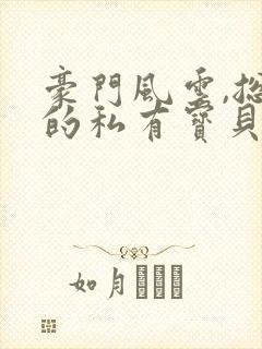 豪门风云,总裁的私有宝贝