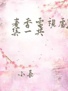 麦香电视剧多少集一共