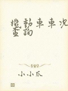 机动车车况历史查询