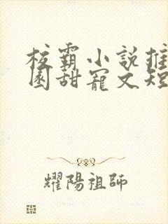 校霸小说推荐校园甜宠文短篇